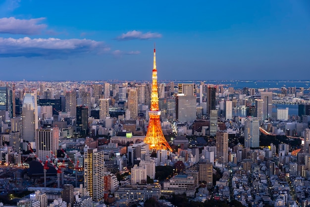 El centro de Tokio y la Torre de Tokio