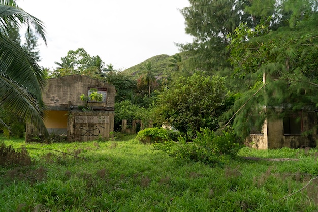 Centro turístico abandonado en la selva tropical