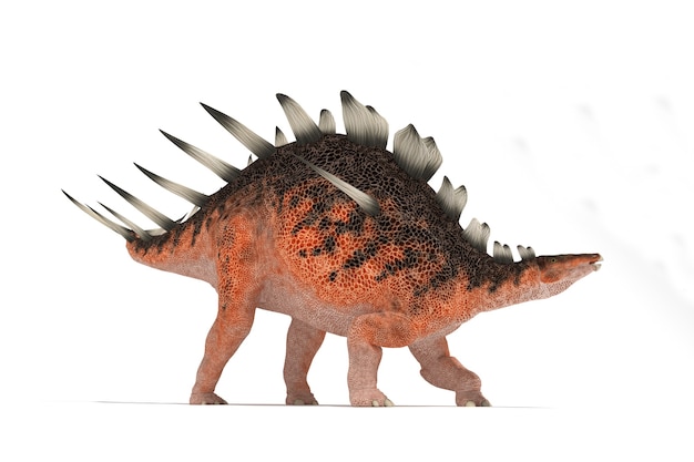 Centrosaurus Satz von Winkeln auf einer weißen Hintergrund-3D-Illustration