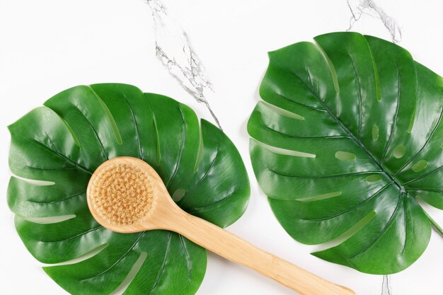 Cepillo de cerdas naturales de mango largo para el cuidado de la piel del cuerpo concepto de cepillado en seco