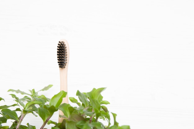 Cepillo de dientes de bambú en hojas, concepto ecológico, espacio de copia