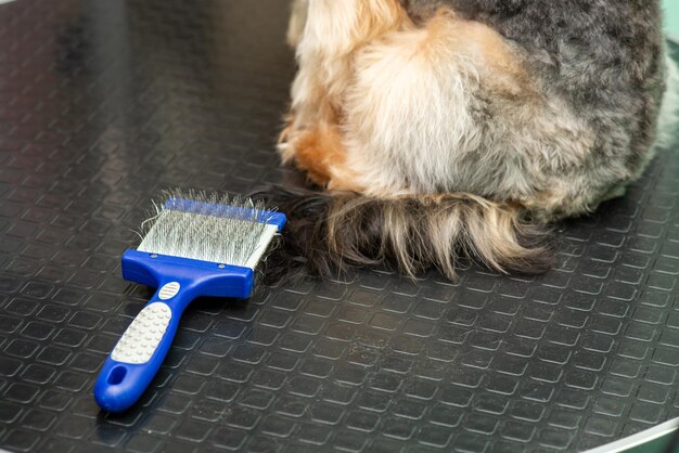 Cepillo para pelo de animales en un primer plano de peluquería