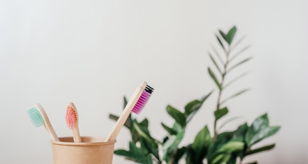 Cepillos de dientes de bambú de colores en un vaso de papel con una toalla y una planta verde, cuidado dental con concepto de desperdicio cero, estilo de vida sostenible