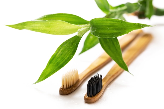 Cepillos de dientes ecológicos y planta de bambú.