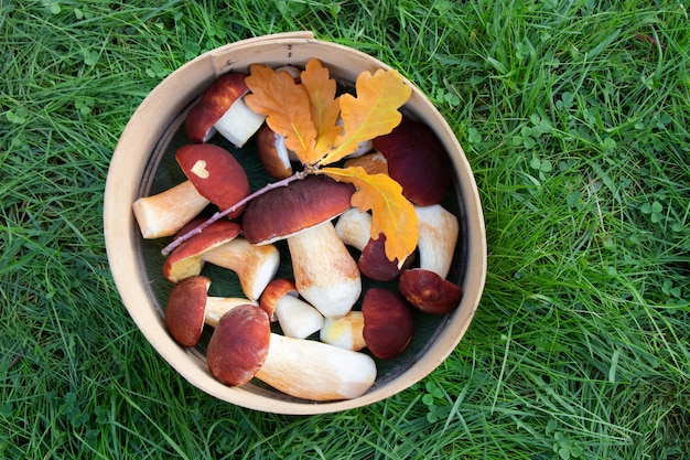 Ceps na cesta de vime. Vista do topo.