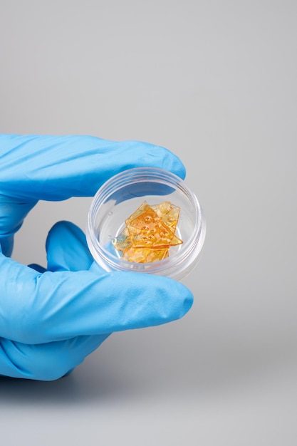 Cera de cannabis dorada en manos femeninas en una caja fuerte extracto de thc