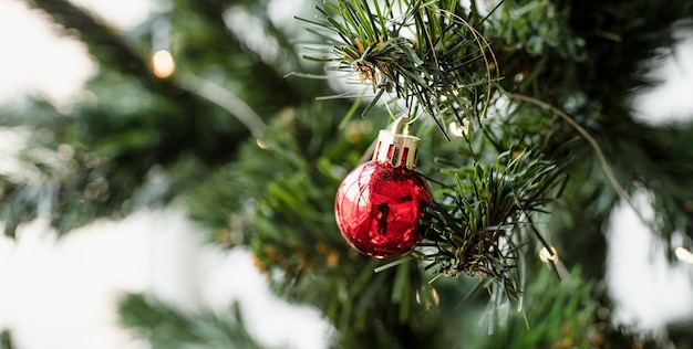 Cerca de adornos para árboles de Navidad