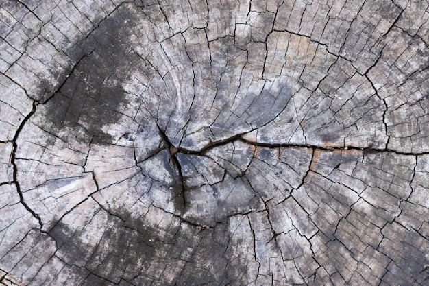 A cerca del agujero en el núcleo de la textura de madera vieja