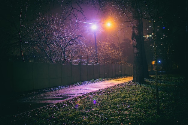 Cerca con alambre de púas en la noche