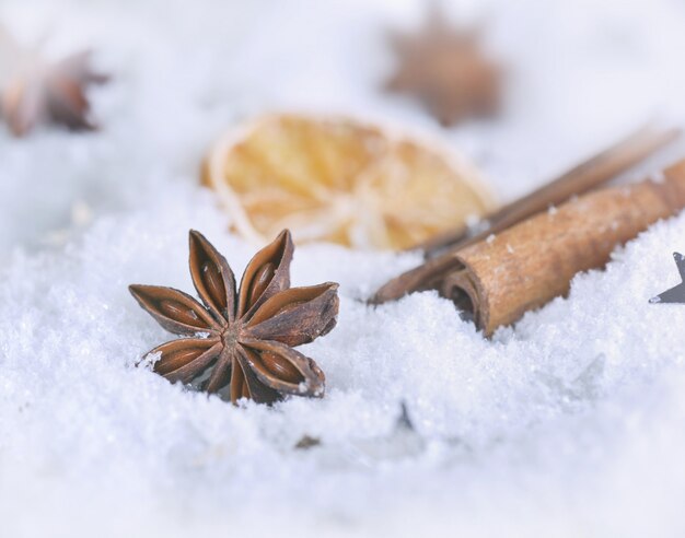 Cerca de anís estrellado y canela sobre nieve