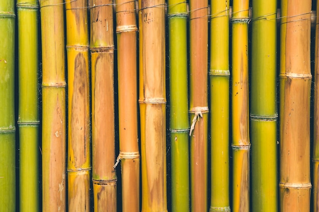 Cerca de bambú, cercas naturales, textura para fondos