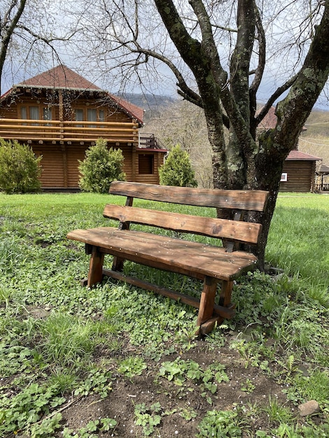 Cerca del banco de madera cerca del árbol en el campo Banco de madera en el césped para recreación al aire libre