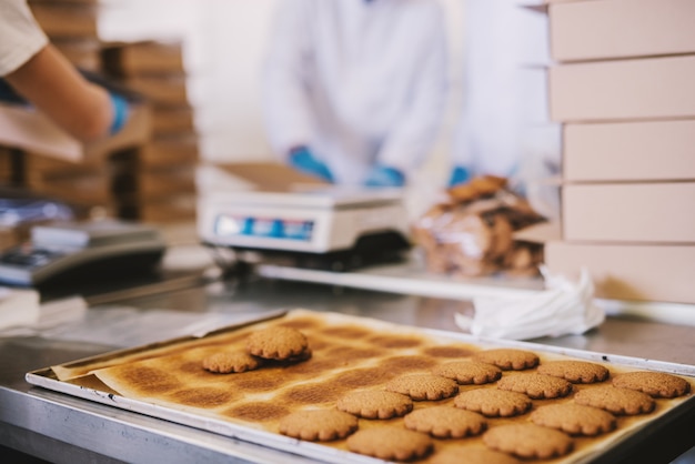 Cerca de la bandeja llena de galletas recién horneadas en la fábrica de alimentos. Imagen borrosa de dos empleados varones con ropa estéril empacando galletas en segundo plano.