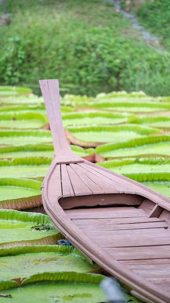 Foto cerca de un barco vintage de madera en el estanque de la hoja de loto en el campo de la puerta