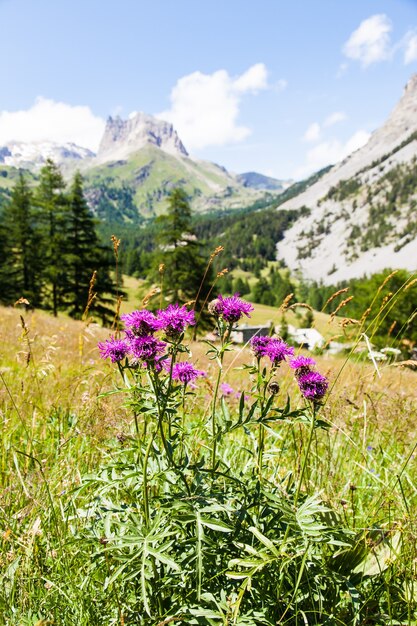 Cerca de Bardonecchia, región de Piemonte, Italia. Un panorama de montaña durante un día soleado en la temporada de verano.