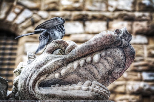 Cerca de una cabeza de animal en la estatua de Hércules y Caco en la Piazza della Signoria en Florencia Italia