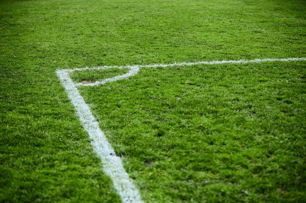 Foto cerca de un campo de fútbol con hierba fresca