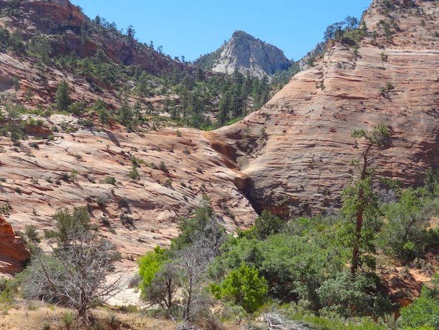 cerca del cañón Bryce