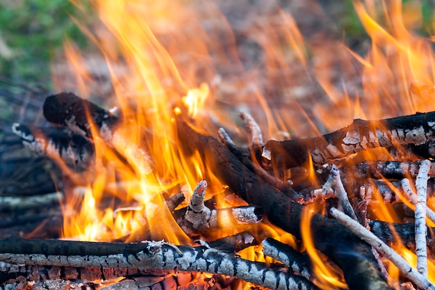 Cerca de carbón de leña ardiente caliente