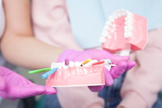 Cerca de cepillos interdentales en modelo dental en manos del dentista