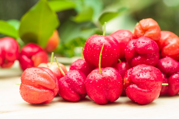 Cerca de cereza acerola