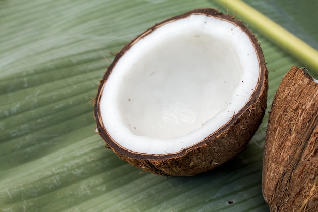 Cerca de coco sobre fondo verde