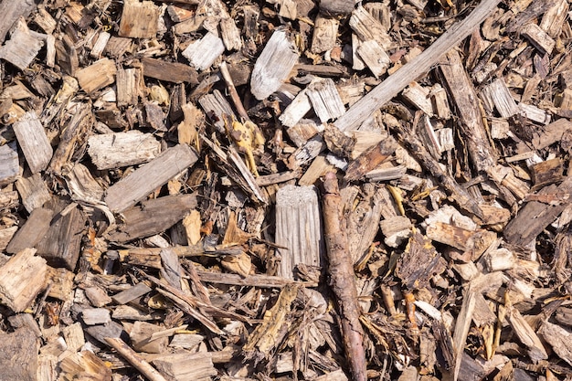 Foto cerca de la colección de aserrín de madera