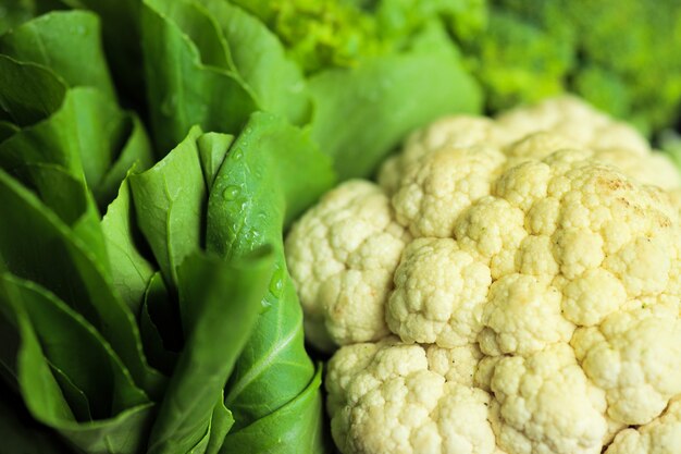 Cerca de coliflor y mostaza verde fresca