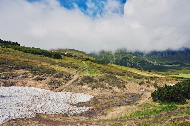 Cerca composta da paisagem perto da estrada transversal no prado da encosta nas montanhas