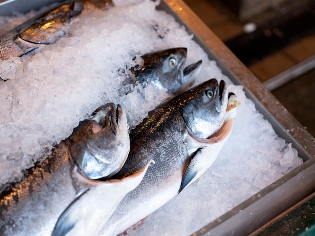 Cerca de la cubierta de salmón fresco con hielo en el mercado de productos frescos