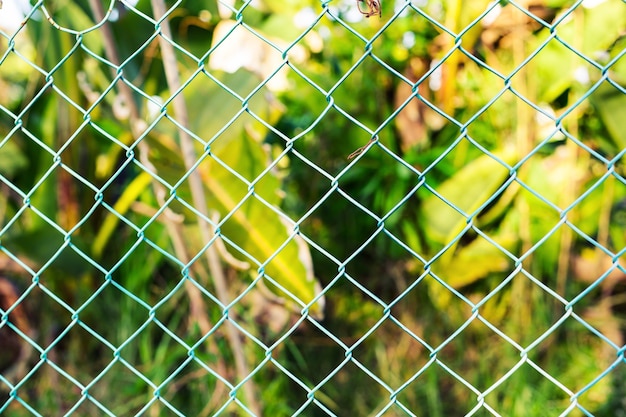 Cerca de arame com grama verde. Cerca de grade de cor verde jardim