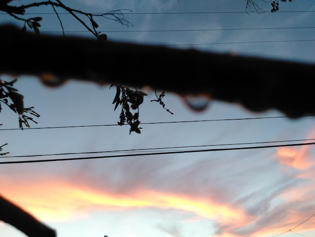 Foto cerca de arame farpado ao pôr-do-sol