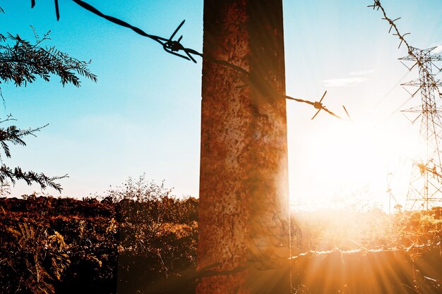 Foto cerca de arame farpado galvanizado. cerca de campo ao nascer do sol da manhã com energia elétrica em segundo plano na área rural