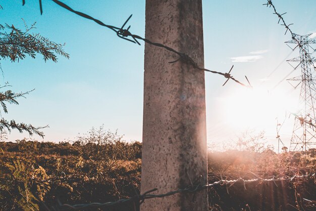 Foto cerca de arame farpado galvanizado. cerca de campo ao nascer do sol da manhã com energia elétrica em segundo plano na área rural