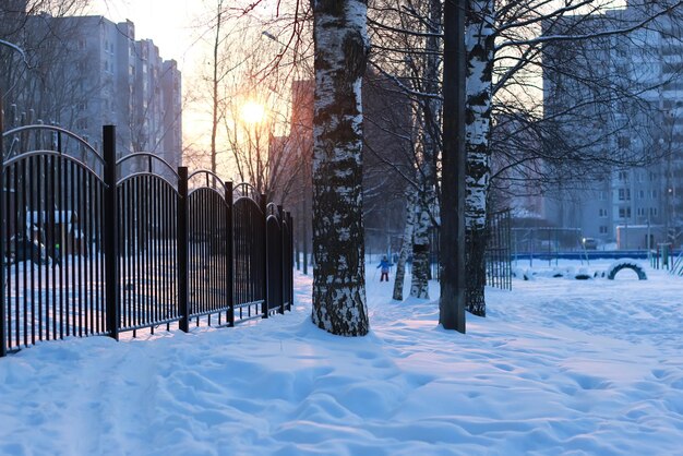 Cerca de ferro de paisagem de inverno ao pôr do sol