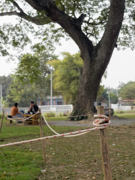 Cerca de madeira coberta com cordas no jardim verde