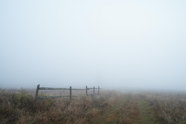 Cerca de madeira no campo Paisagem de outono com névoa Dia nublado