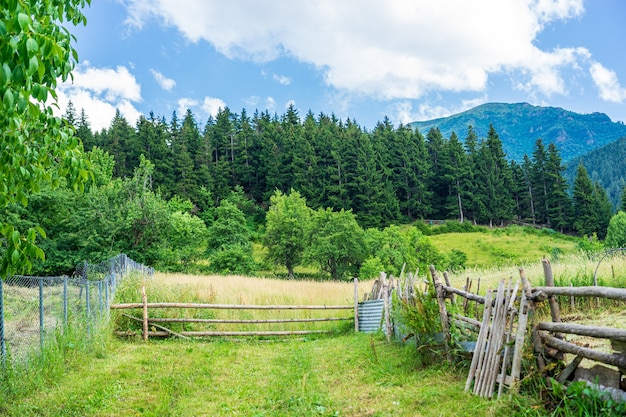 Cerca de madeira velha em artvin no verão