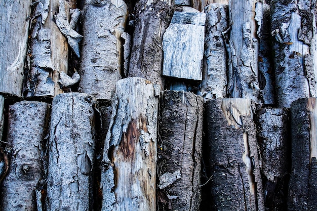 Foto cerca de madeira velha pilha de textura de lenha de lenha velha empilhada