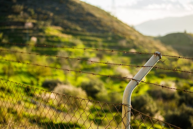 Cerca de metal com paisagem verde