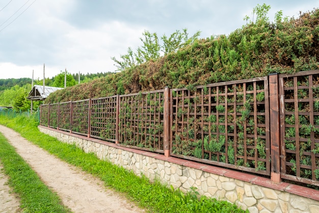 Cerca de metal com thujas verdes ao longo da cerca, descanso verde, caminhando pela estrada