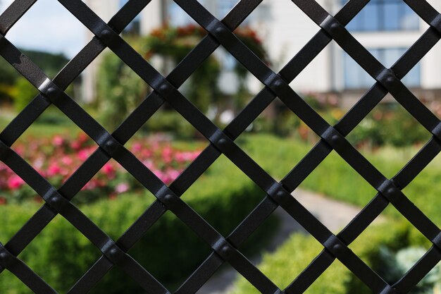 Foto cerca de metal no jardim botânico