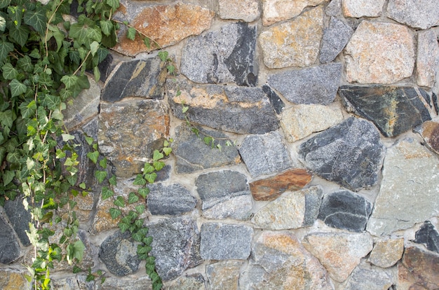 Cerca de pedra decorativa, fundo de raio estilizado em uma pedra selvagem natural com galhos verdes