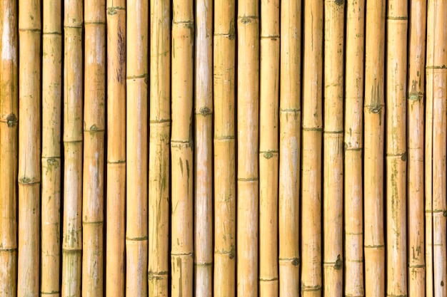 Cerca de ripas de bambu vertical como pano de fundo