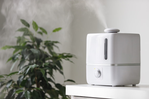 Cerca del difusor de aceite aromático sobre la mesa en casa, vapor del humidificador de aire, planta de interior