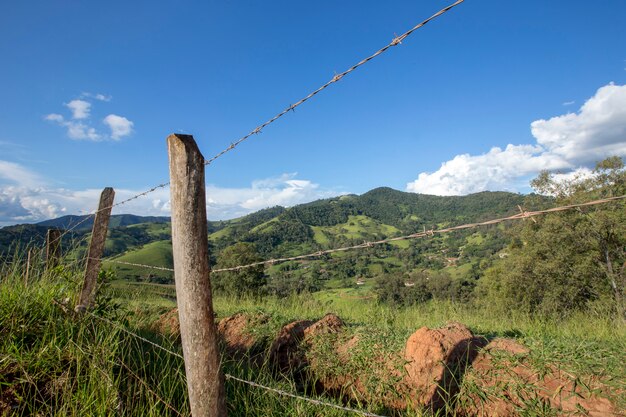 Foto cerca e árvore em primeiro plano com céu azul e colina ao fundo. interior do brasil