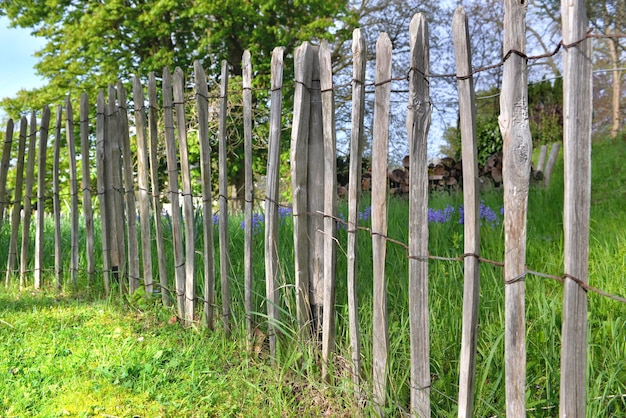 Cerca em postes de madeira natural protegendo uma parte da grama em um jardim