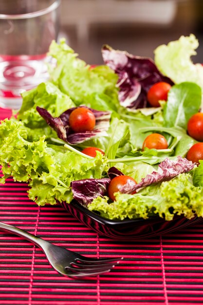 Cerca de ensalada de verduras mixtas