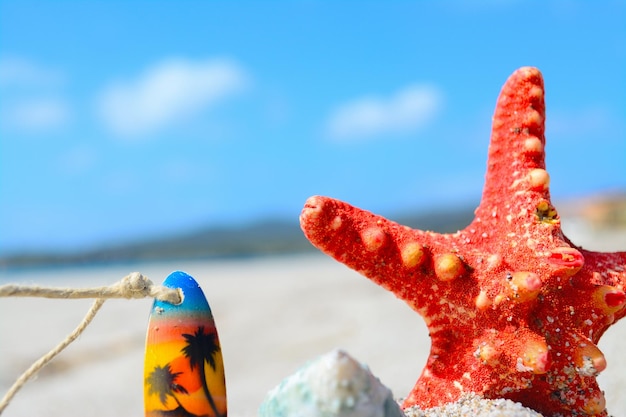 Cerca de una estrella de mar y un collar en la playa