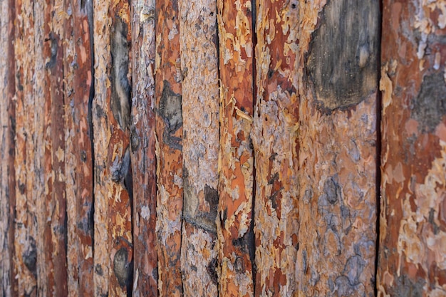 Cerca feita de tábuas verticais de pinho de madeira marrom não tratada com casca